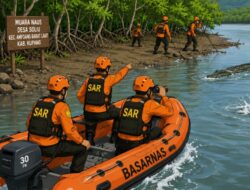 Buaya Seret Warga di Muara Naus, Tim SAR Kupang Berjibaku Lakukan Pencarian