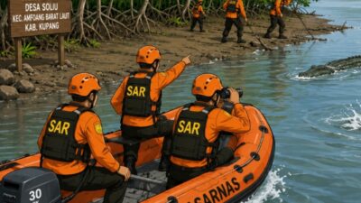 Buaya Seret Warga di Muara Naus, Tim SAR Kupang Berjibaku Lakukan Pencarian