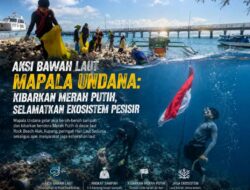 Aksi Bawah Laut Mapala Undana: Kibarkan Merah Putih, Selamatkan Ekosistem Pesisir