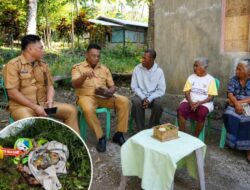Pemprov NTT Apresiasi Petani Amarasi yang Selamatkan Bayi Dalam Kardus