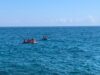IMG-20260716-WA0014