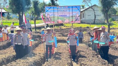 TTU Jadi Titik Penanaman Bawang Putih Serentak, Dorong Swasembada Pangan Nasional